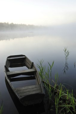 Fog on the lake clipart