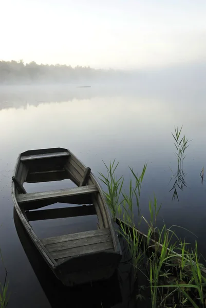 Туман на озере — стоковое фото