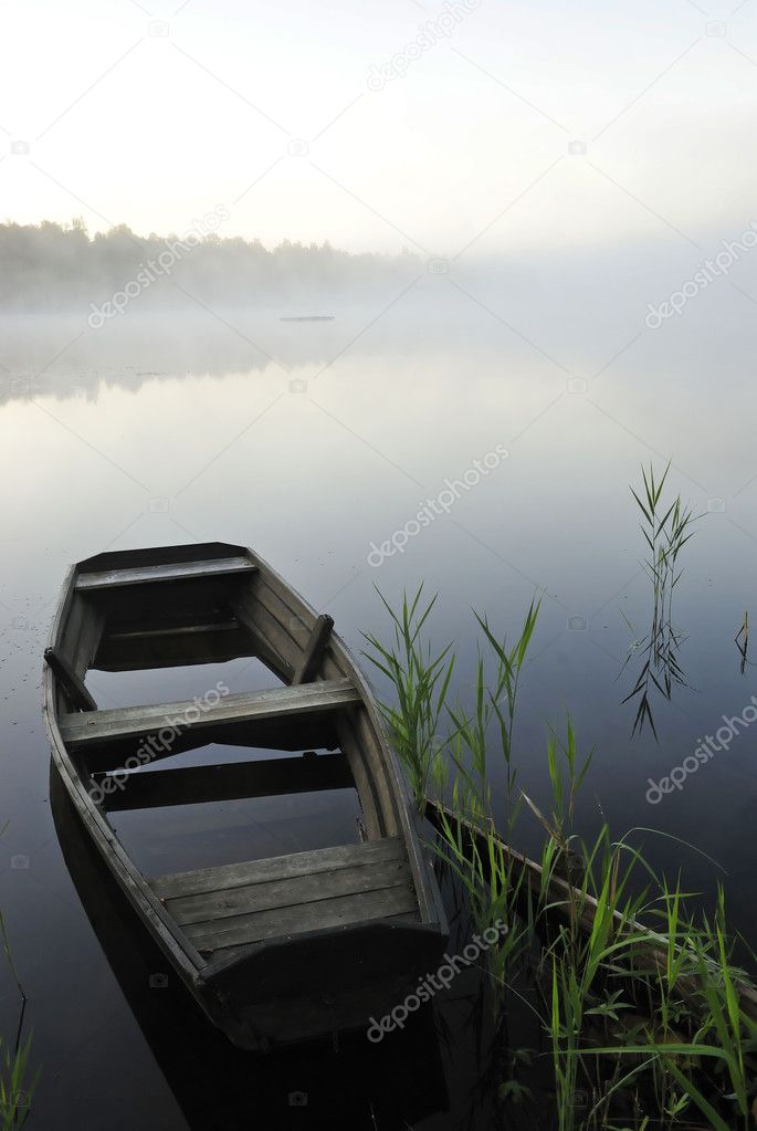 Fog on the lake