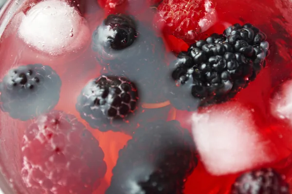 stock image Forest berries