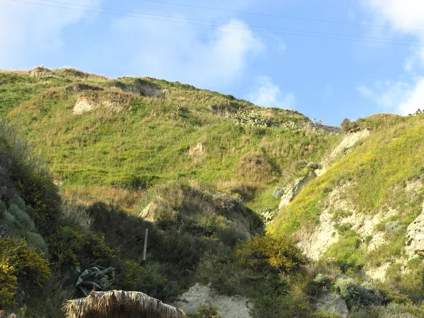 stock image Ischia