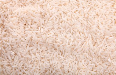 Rice clipart