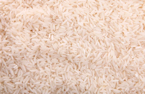 Rýže — Stock fotografie