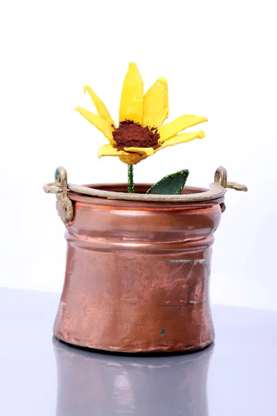 Behälter und Blume — Stockfoto