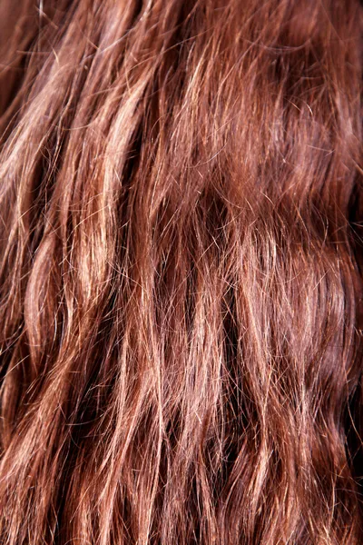 Kahverengi saç — Stok fotoğraf
