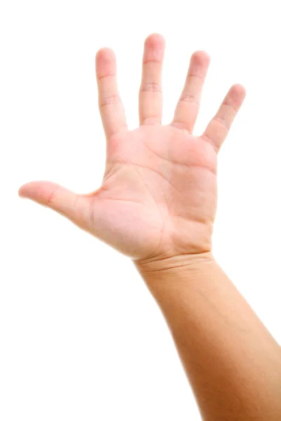 stock image Open Hand