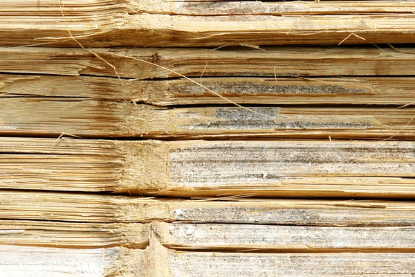 Drewno tropikalne — Zdjęcie stockowe