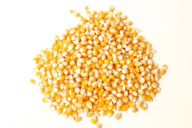 yellow corn grain on white background. isolated image clipart