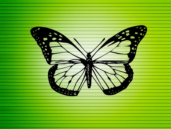 Silhouette Farfalla Sfondo Verde Naturale — Foto Stock