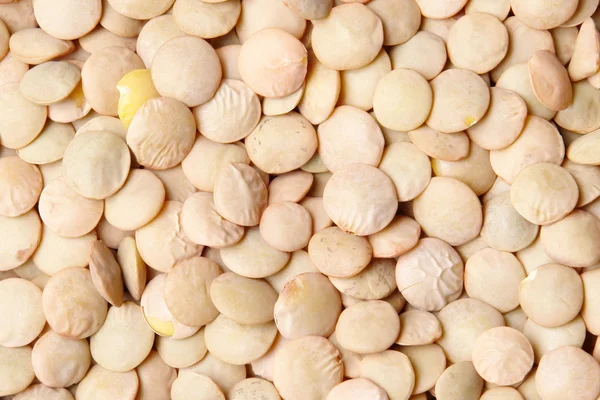 レンズ豆穀物のテクスチャです 明るく 抽象的なイメージ — ストック写真
