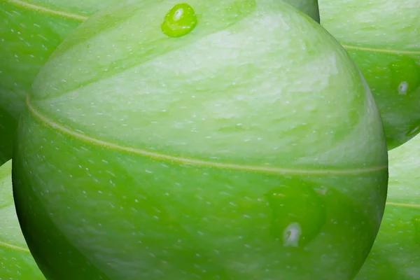 Grönt Klot Med Leaf Konsistens Naturliga Och Abstrakt Illustration — Stockfoto
