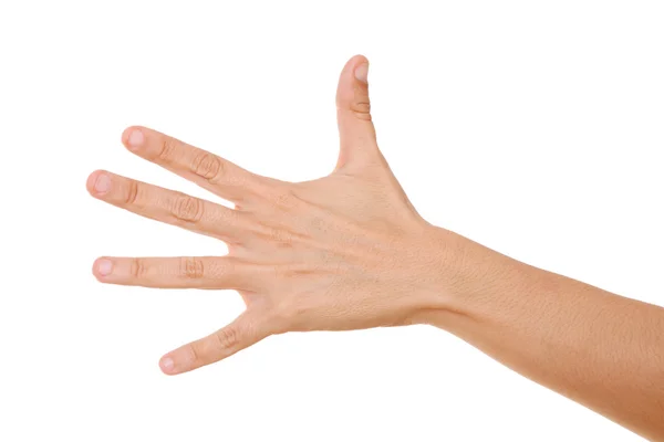 Χέρι Ανοιχτό Γυναίκα Άσπρο Φόντο Απομονωμένο Εικόνα — Φωτογραφία Αρχείου