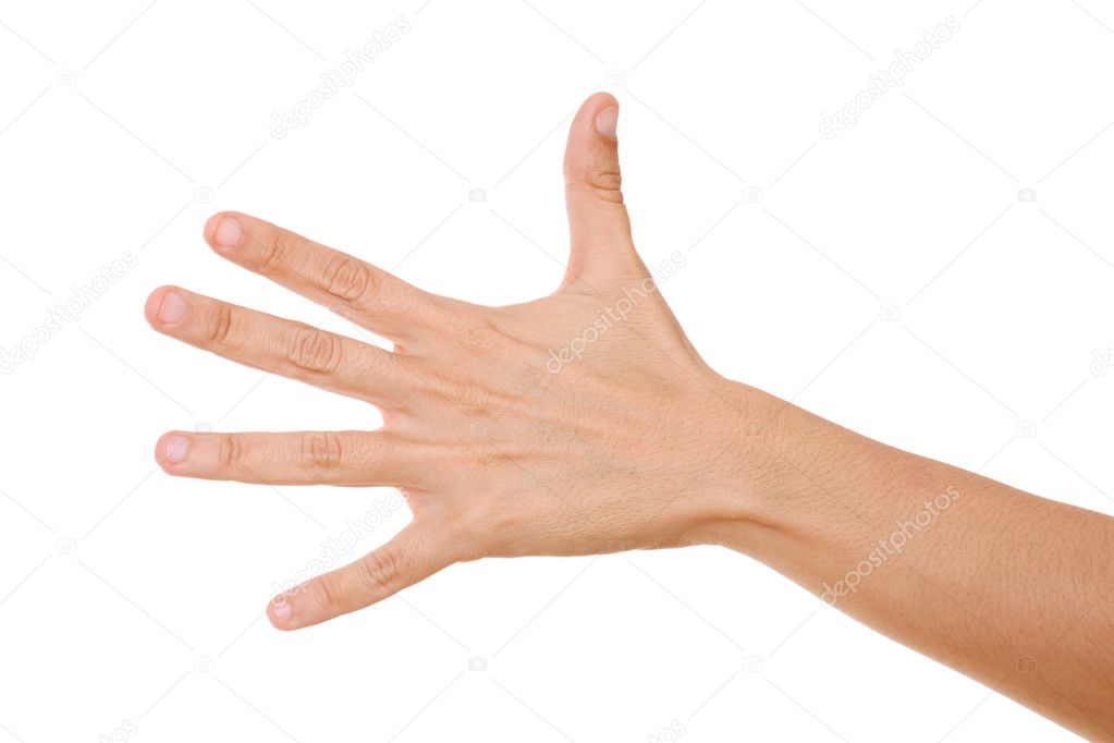 Open woman hand on white background, Isolated image
