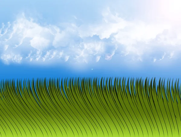Green Grass Blue Sky Background Illustration — Stock Photo, Image