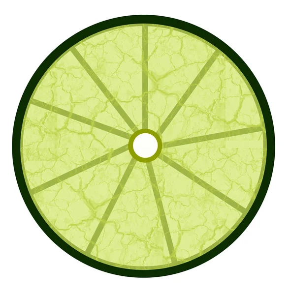 Limão Verde Sobre Fundo Branco Ilustração Dos Frutos — Fotografia de Stock