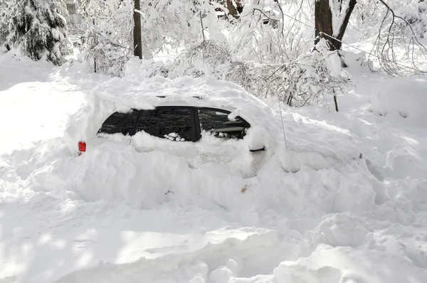 Sněhová bouře 2010 — Stock fotografie