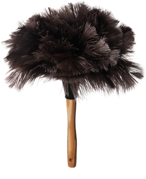 Ostrich Feather Duster — Stock Photo, Image