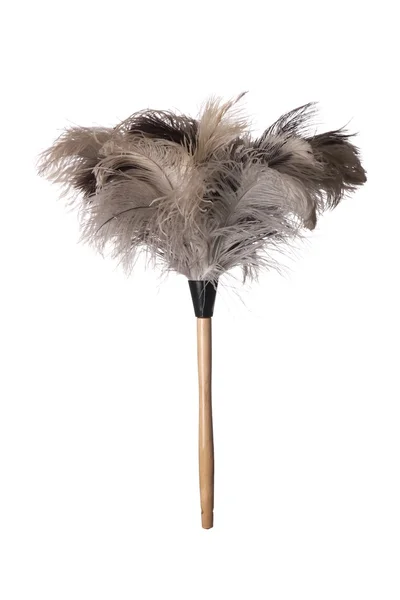 Перьевая пыльца страуса — стоковое фото