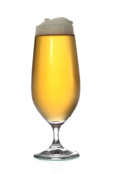 Cerveja ou Lager — Fotografia de Stock