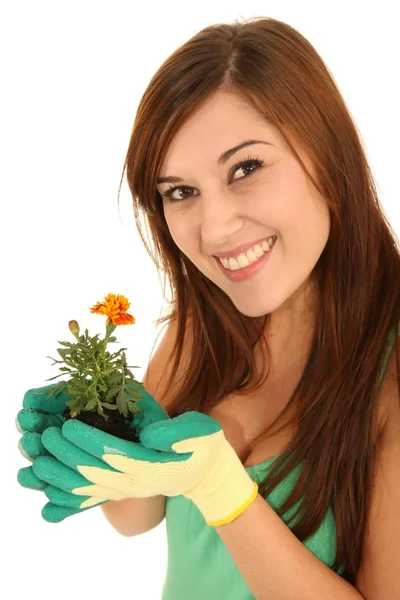 Docela zahradnické žena — Stock fotografie