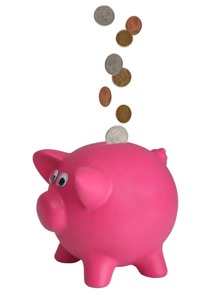Piggy Bank con la caída de monedas — Foto de Stock