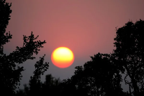 Αφρικανικό ηλιοβασίλεμα — Φωτογραφία Αρχείου
