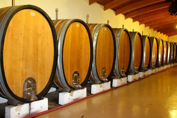 Barricas o barricas de vino —  Fotos de Stock