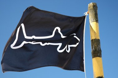 köpekbalığı uyarı bayrağı