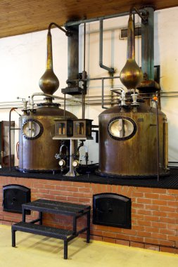 Brandy bakır potstills