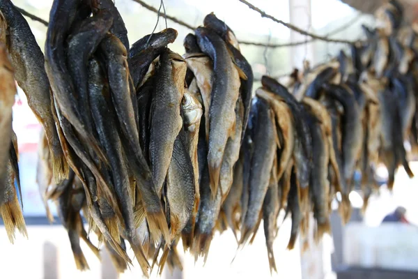 Ryby sušení — Stock fotografie