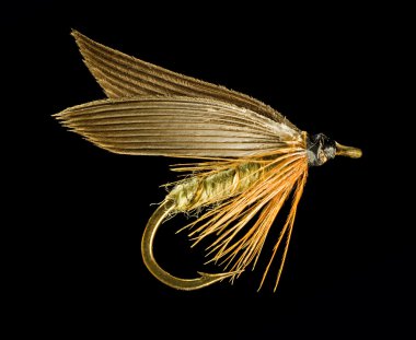 alabalık balıkçılık fly