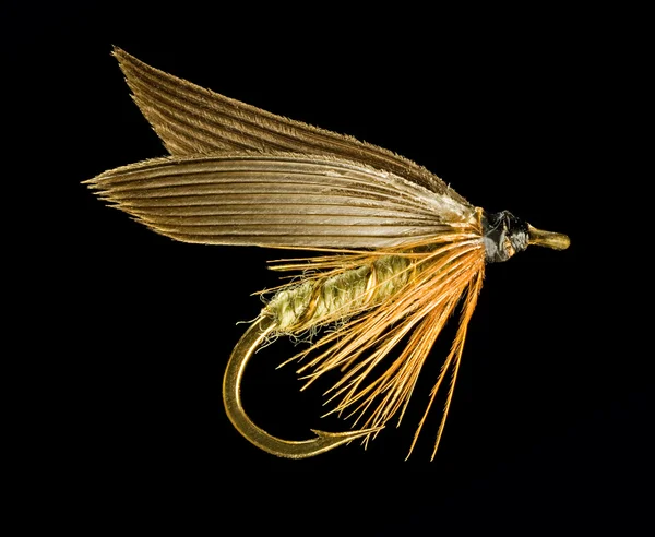 Рыболовная муха — стоковое фото