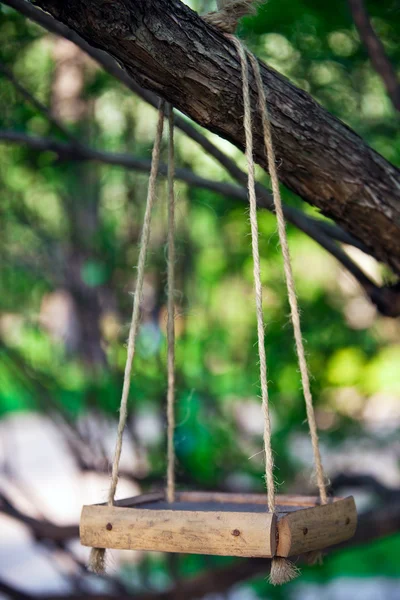 Alimentador de pássaros pendurado no galho da árvore — Fotografia de Stock