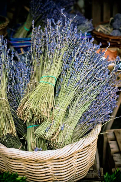 stock image Dry Lavender Bunches