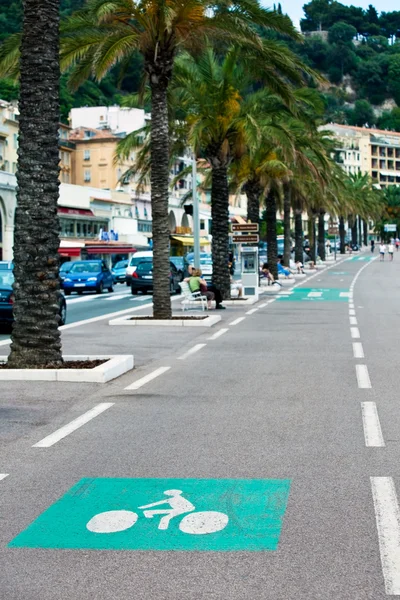 Pista ciclabile segnalata su una strada cittadina — Foto Stock