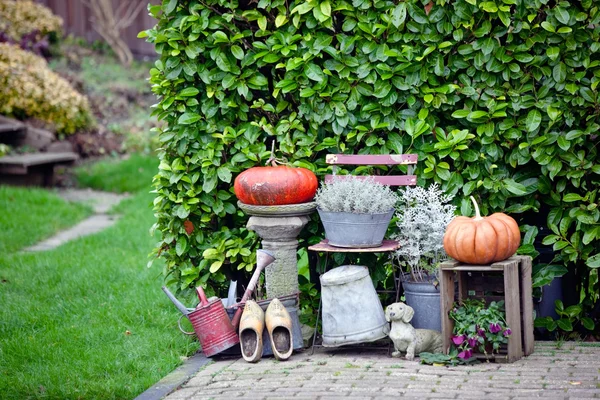 Trädgård thanksgiving och halloween dekoration — Stockfoto