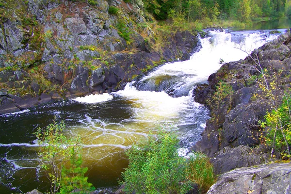 Schöner Fluss und Wasserfall im Wald — Stockfoto