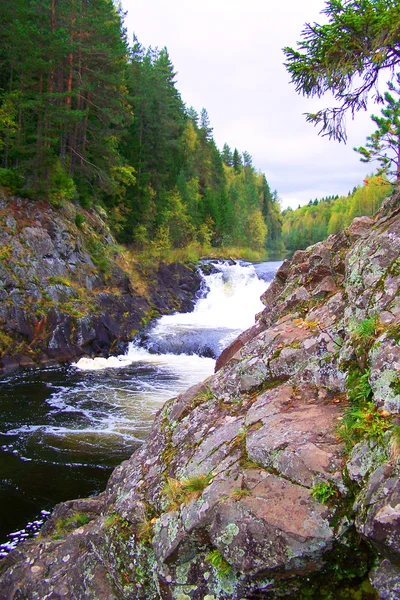 Prachtige rivier en de waterval in bos — Stockfoto