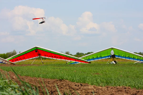 stock image Field, hang gliders and sky