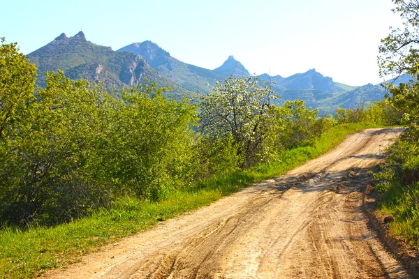 Vägen i bergen Krim — Stockfoto