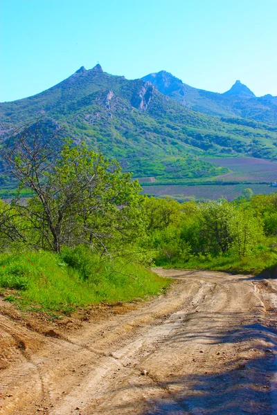 Дорога в Кримських горах — стокове фото