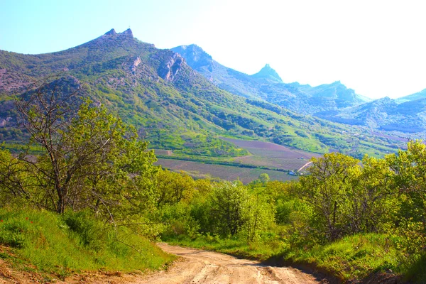 Road in the Crimean mountains — Stock Photo, Image