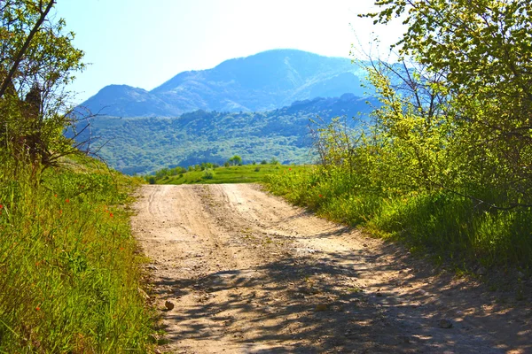 Vägen i bergen Krim — Stockfoto