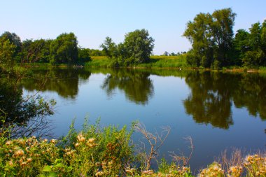 Ukrayna'nın ağaçlar ve Nehri