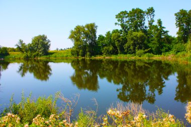 Ukrayna'nın ağaçlar ve Nehri