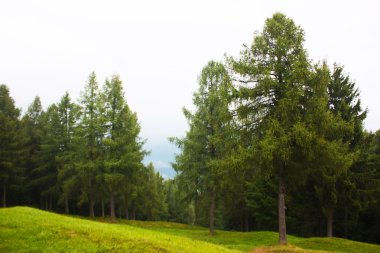 Slovenya'da alınan Alpler'in muhteşem ladnscape