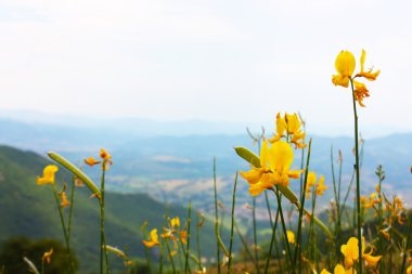 İtalya'da çekilen apennines Güzellik