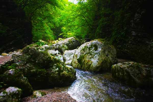 stock image Amazing river in the Alps