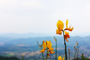 İtalya'da çekilen apennines Güzellik