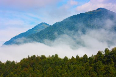 Slovenya'da alınan Alpler'in muhteşem ladnscape